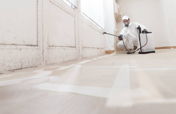 Black mold remediation team in Gettysburg