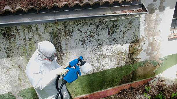 Mold Remediation service in Gettysburg, Gettysburg, PA